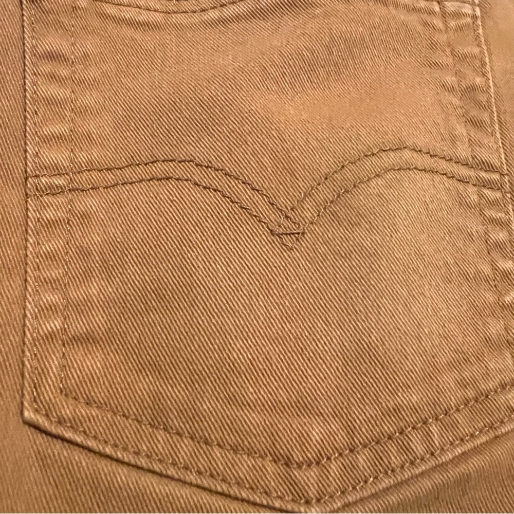 Levi - Picture 6 of 6